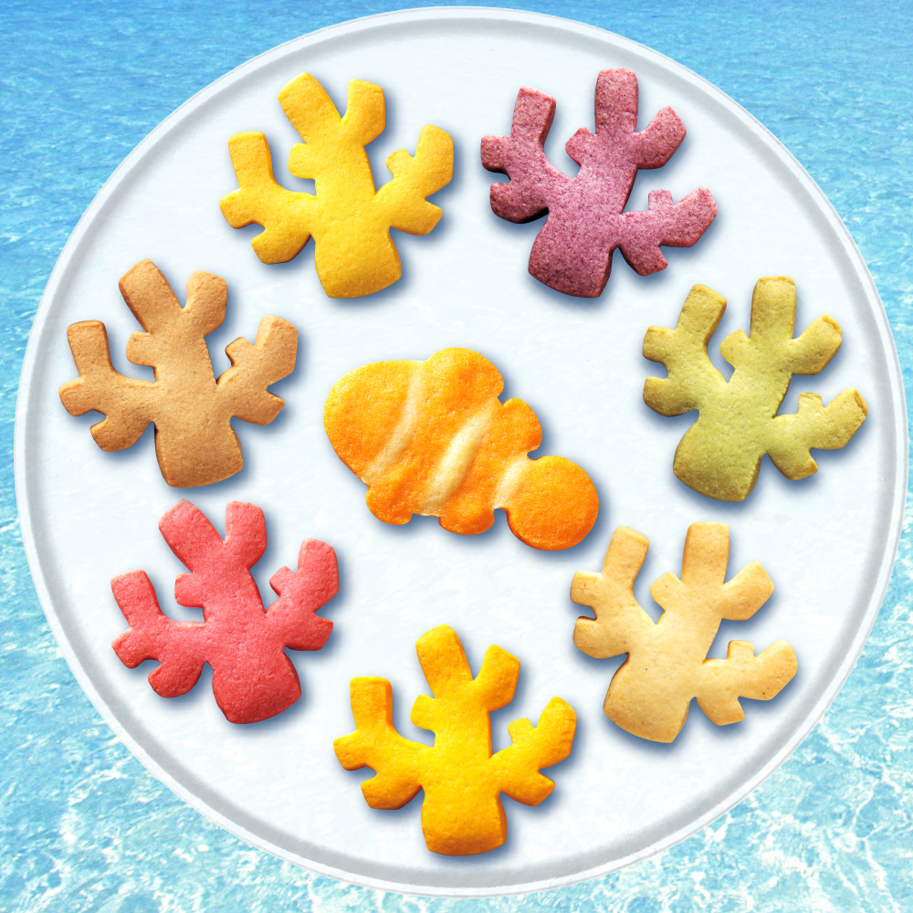 沖縄 海のかけら〔限定販売商品〕 | 南都物産株式会社