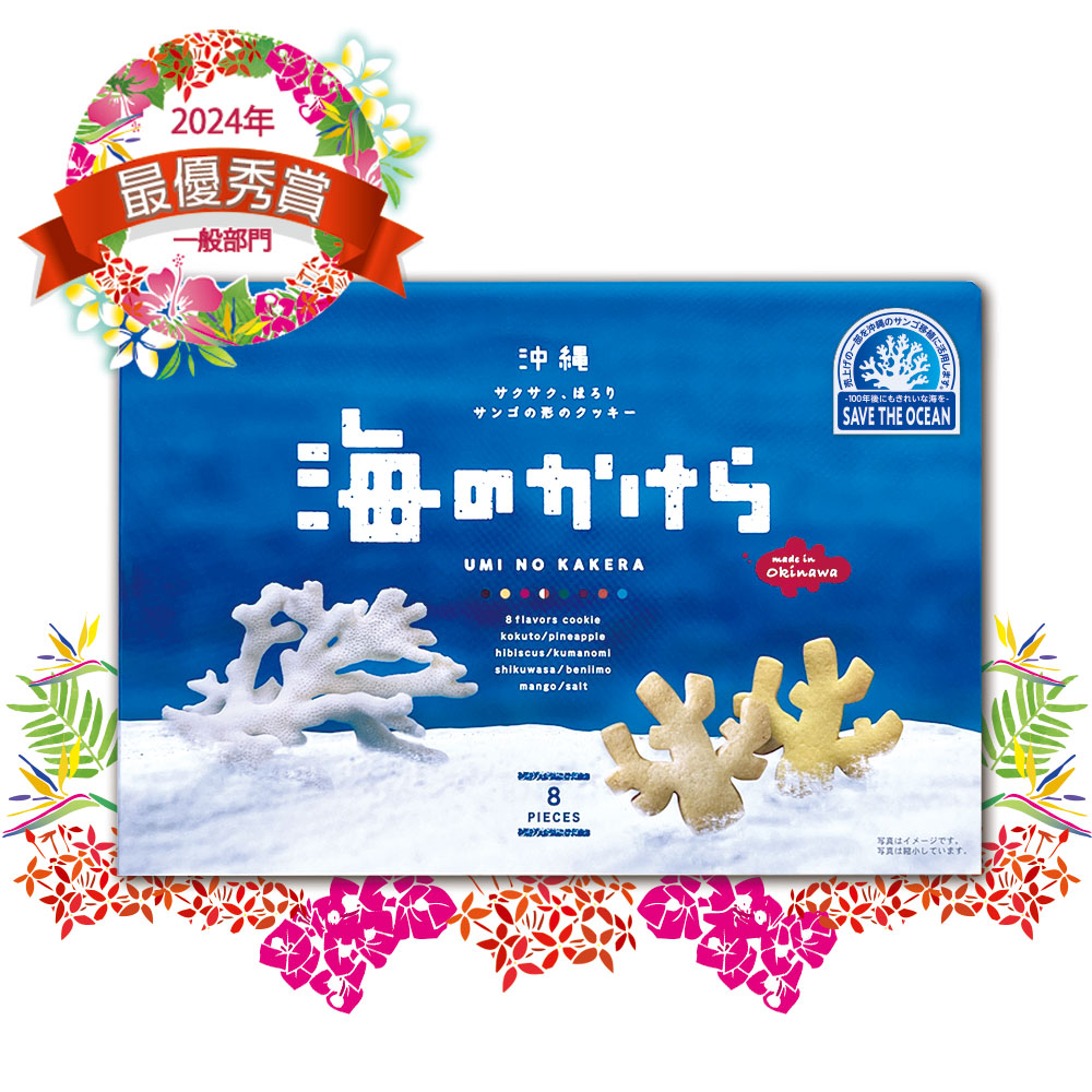 限定セール琉球✴︎海のカケラレジンセット